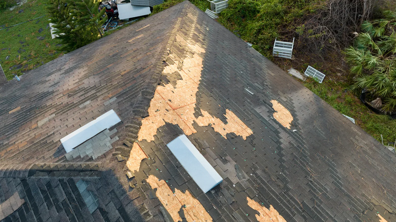 Shingle roof ridge with bare decking exposed along it